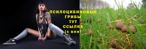 прущая мука Богданович