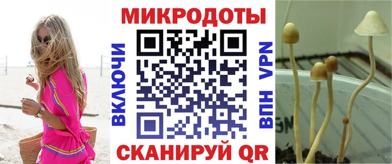 сколько стоит  omg ссылки  Галлюциногенные грибы прущие грибы  Троицк 